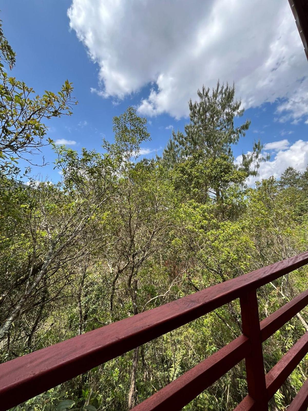 Pousada Recanto Do Saua - Monte Verde Monte Verde  Δωμάτιο φωτογραφία